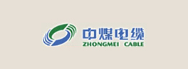 China Coal Cable Co. Ltd